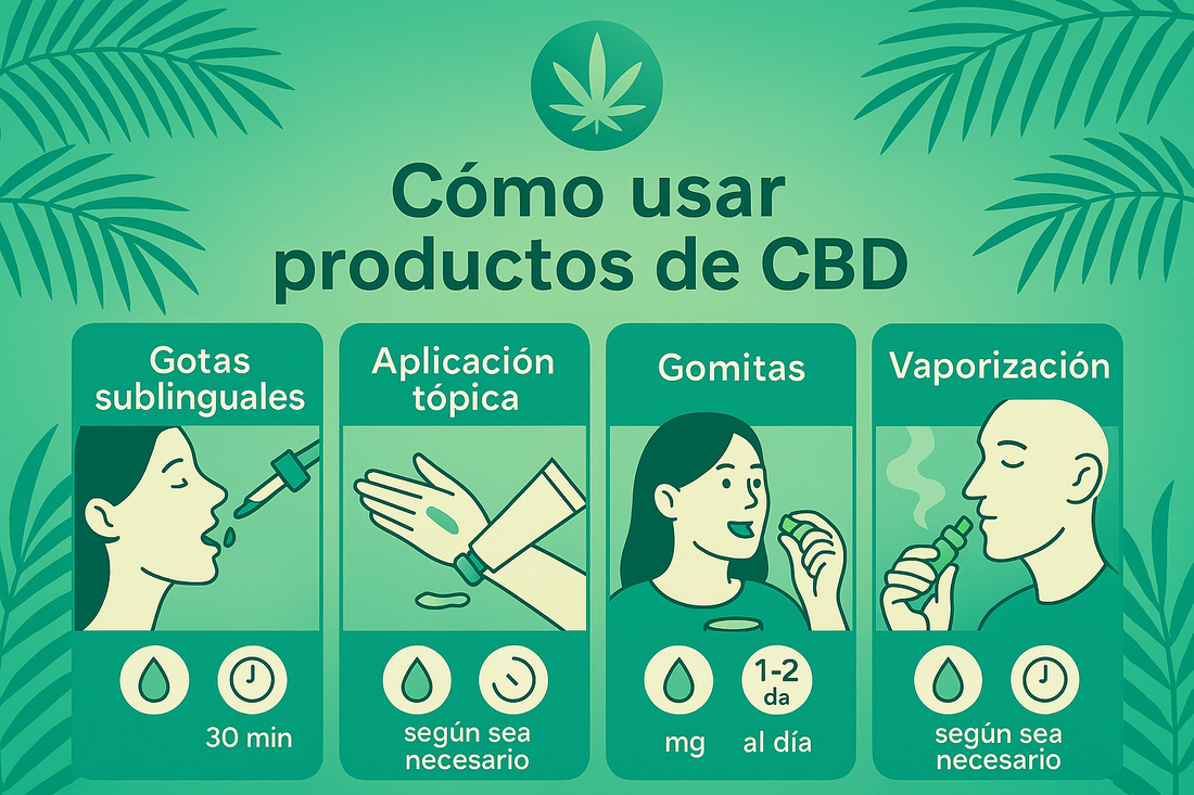 ¿Cómo se toma el CBD?