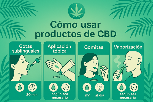 ¿Cómo se toma el CBD?