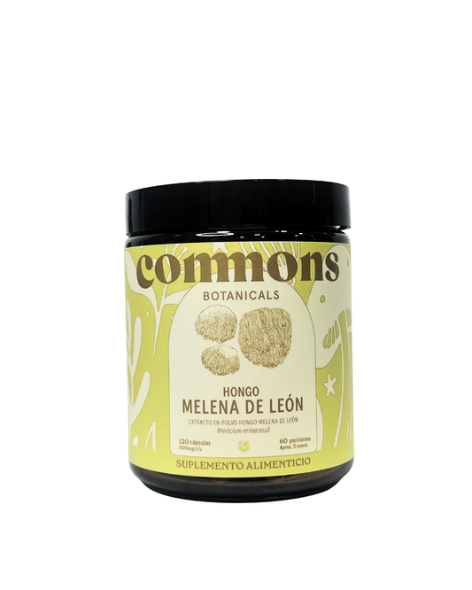 Hongo Melena de León