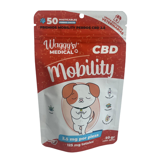 CBD premios mobility